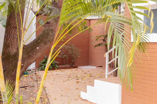 Aulas regulares - Imagem 8